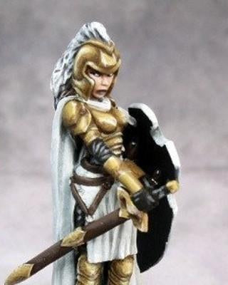 Paladin Miniatures
