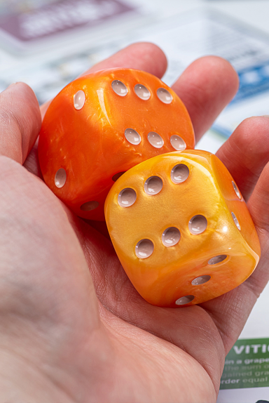 Rolling Realms Giant D6 dice orange