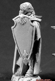 Game Miniatures Paladin