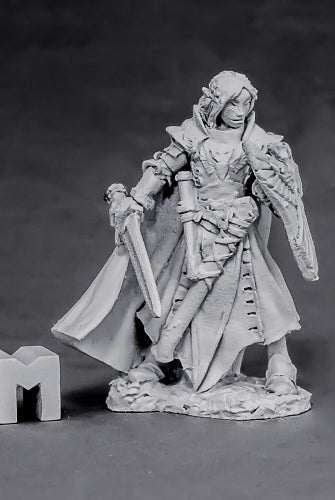 Alandin, Elf Paladin 3863