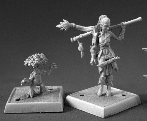 Pathfinder Miniatures Druid and Familiar 60147 