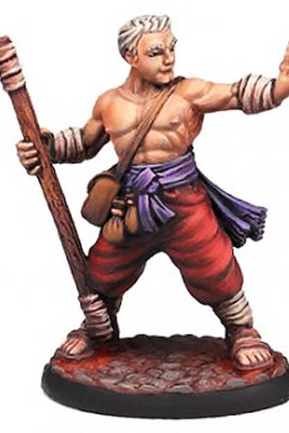 Monk Miniature D&D