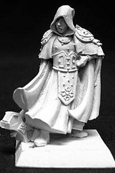 Reaper Miniatures Sir Broderick Male Fighter 14050