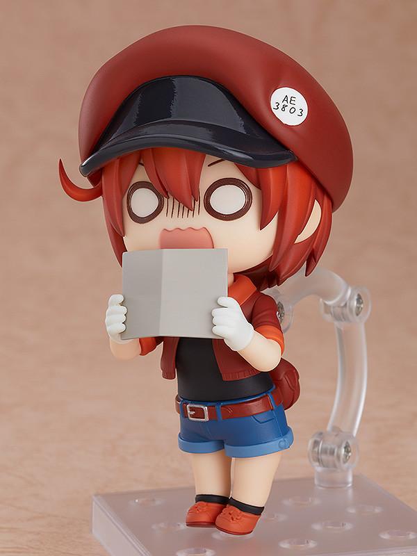 Red Blood Cell 2