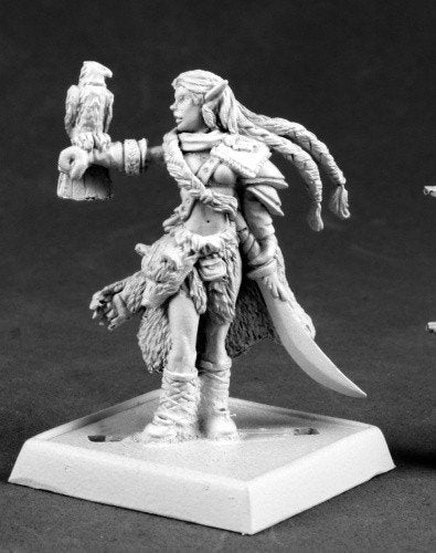 Pathfinder Miniatures Nature Warden 60064