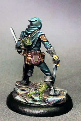 DSM7320 Dual Wield Rogue