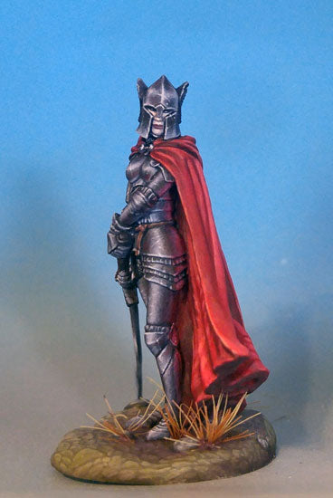D&D Miniatures Female Paladin