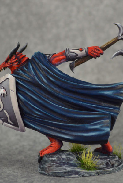 Dark Sword Miniatures Paladin