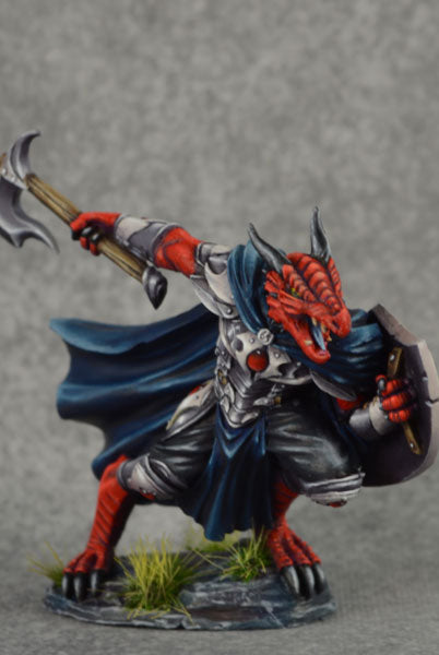 D&D Dragonborn Paladin Miniature
