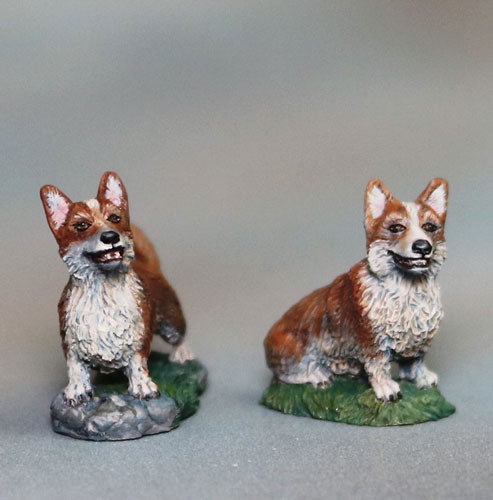 Corgi Dogs Miniature