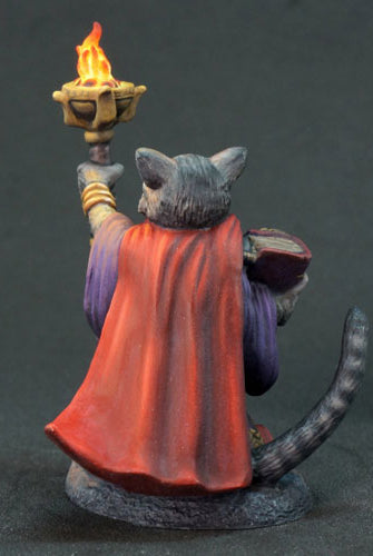 DSM8078 Catfolk Warlock