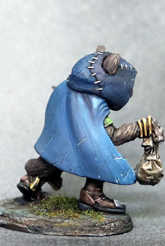 DSM8114 Catfolk Asha, Rogue