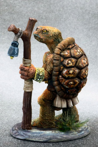 Tortle Miniature Druid 2