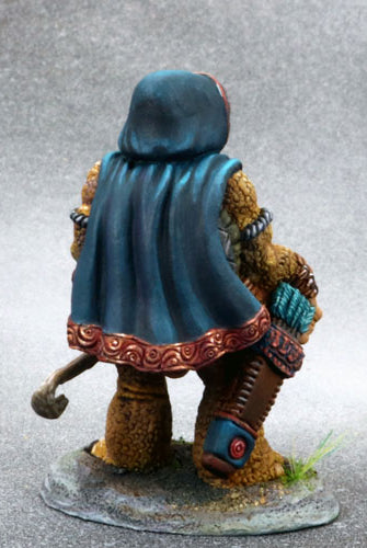 Tortoise-Folk Ranger 2