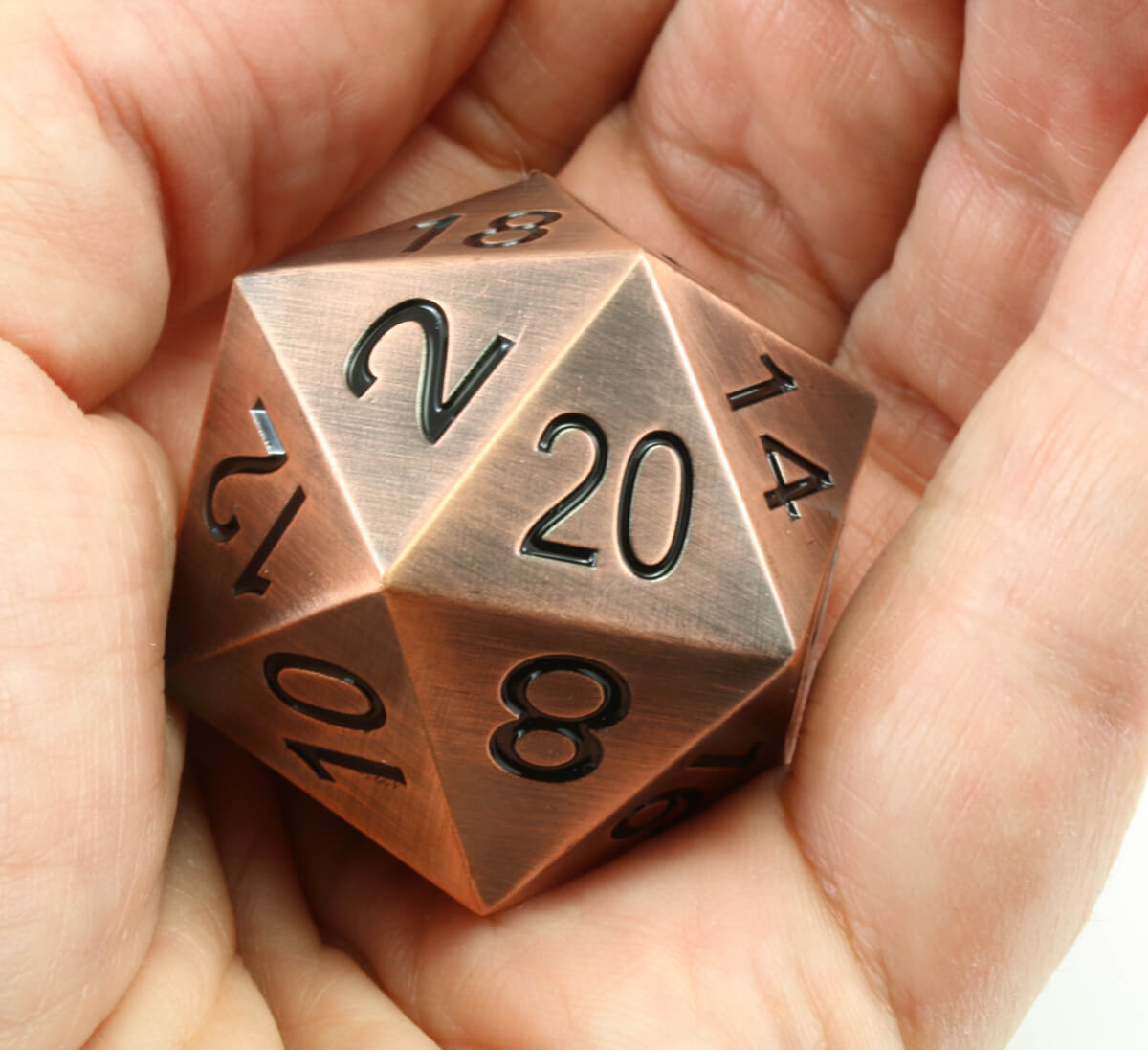 Berserker Giant D20 2