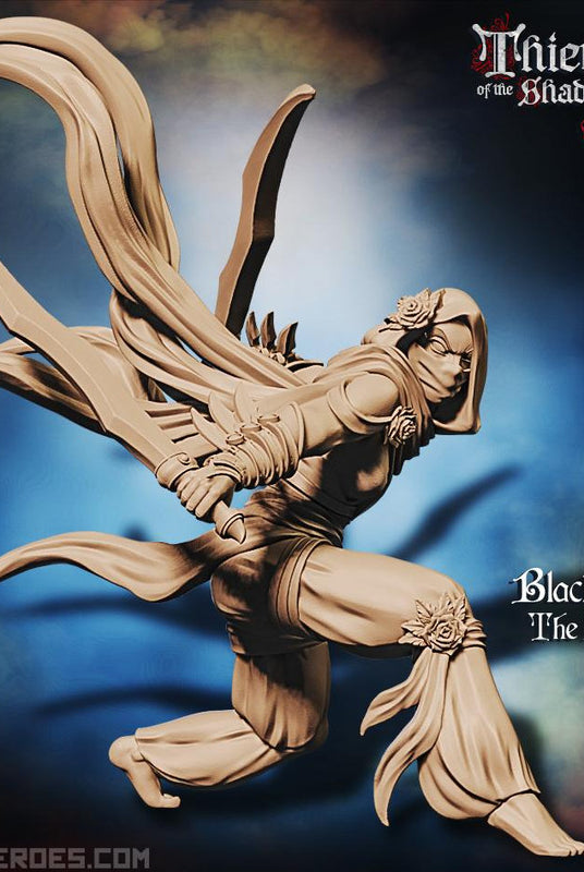 Raging Heroes Miniatures (Black Rose, the Killer)