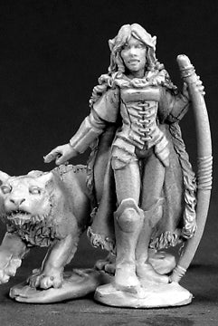 D&D Miniatures Ranger and Panther