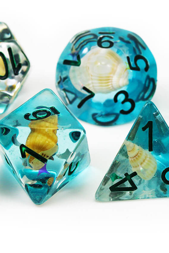 Seashell DnD Dice