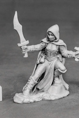 D&D Miniatures Female Rogue