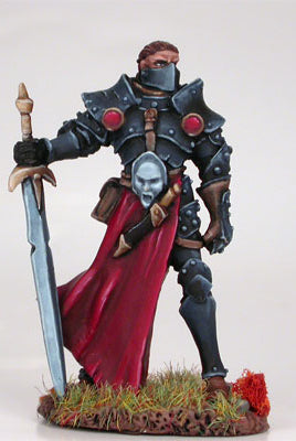 D&D Miniatures Paladin