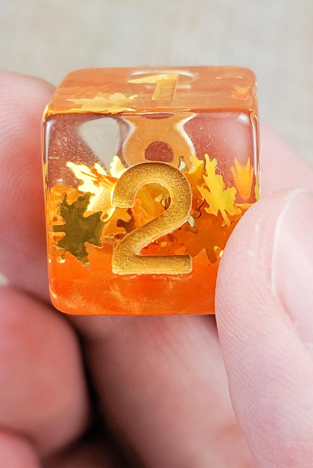D&D Dice Autumn Fall