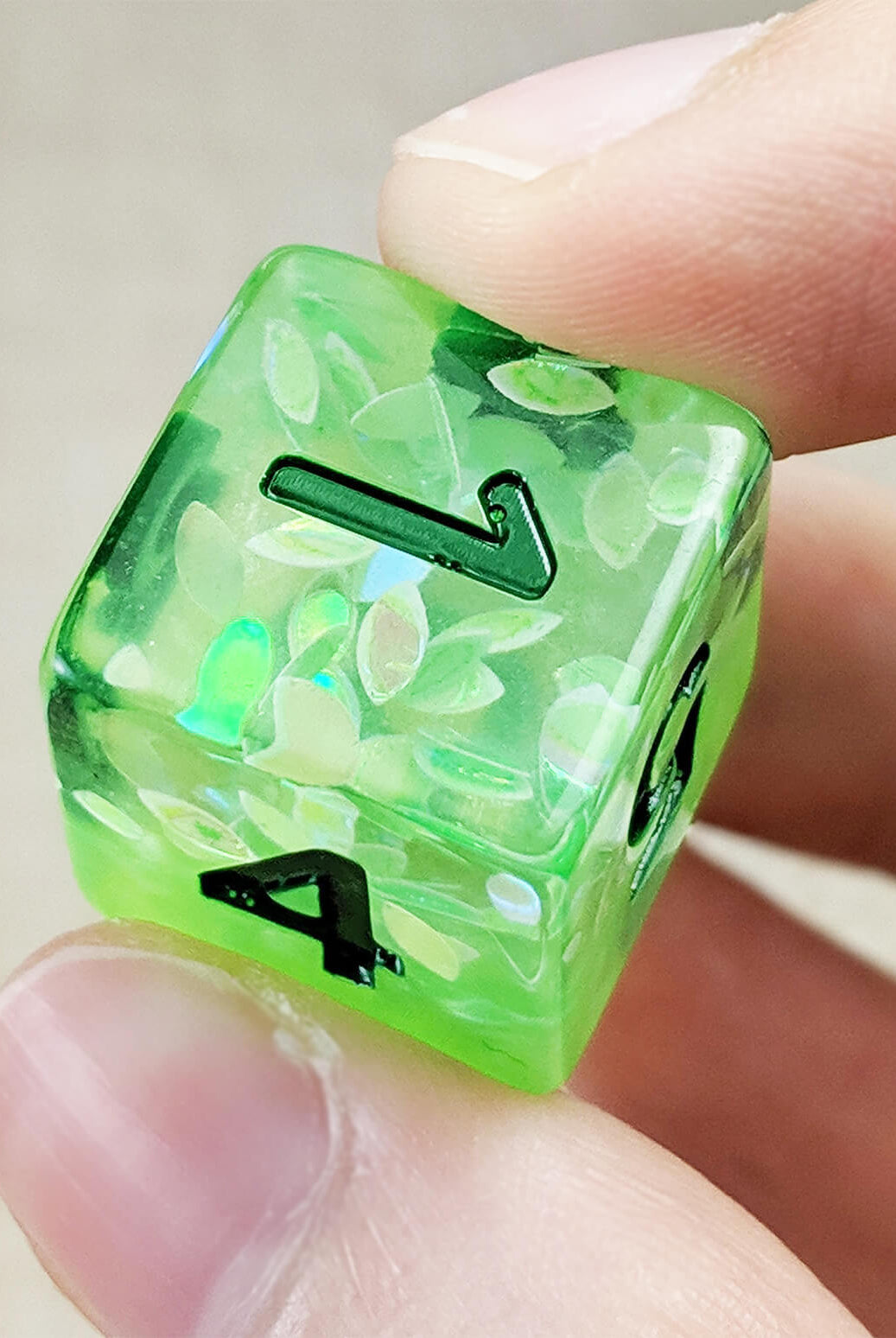 D&D Dice Spring