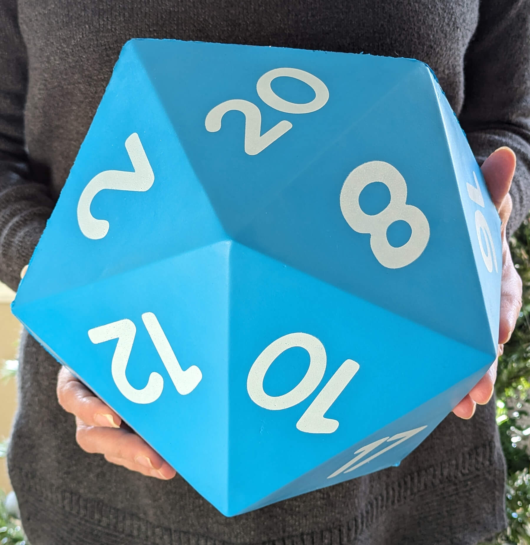 Giant Foam Dice