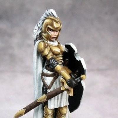 Paladin Miniatures