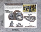 Battlefield in a Box dragon's grave terrain for ttrpg games