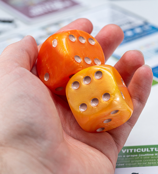 Rolling Realms Giant D6 dice orange