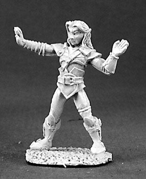 DnD Miniature Elf Monk