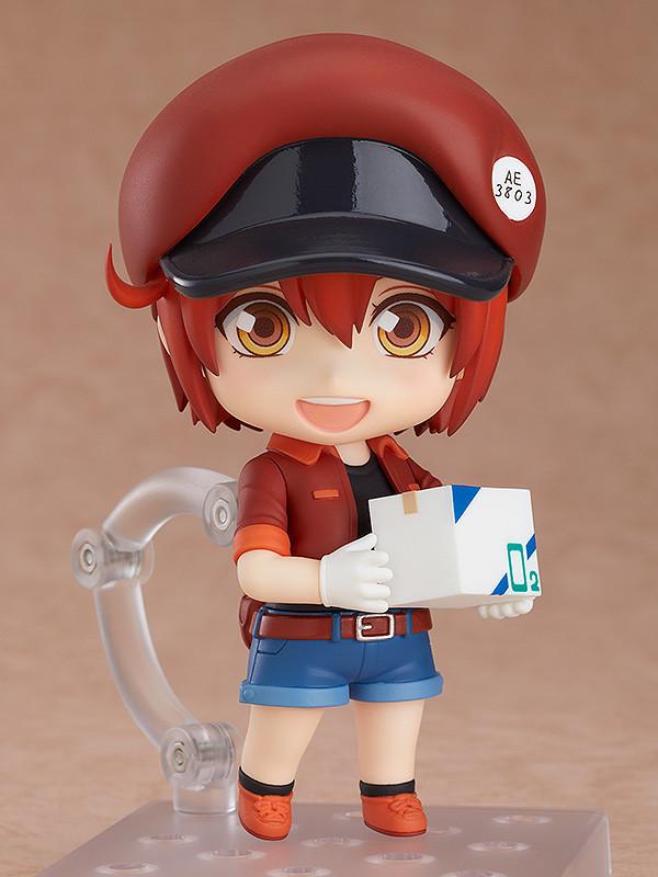 Red Blood Cell 1
