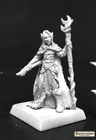 Pathfinder Miniatures (Aravashniel, Elf Wizard 60139)