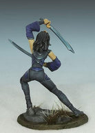 DSM7444 Female Elf Dual Wield Rogue