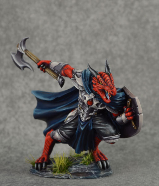 D&D Dragonborn Paladin Miniature