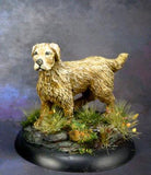 D&D Miniatures Dog