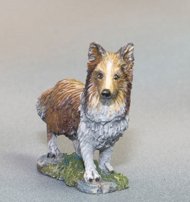 Sheltie Dog Miniature