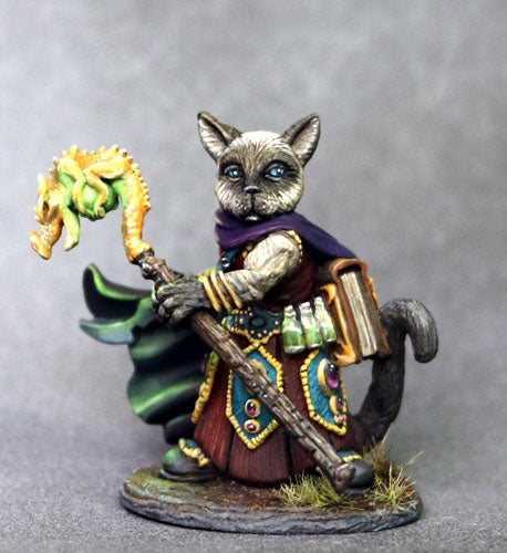 D&D Miniature Cat Wizard