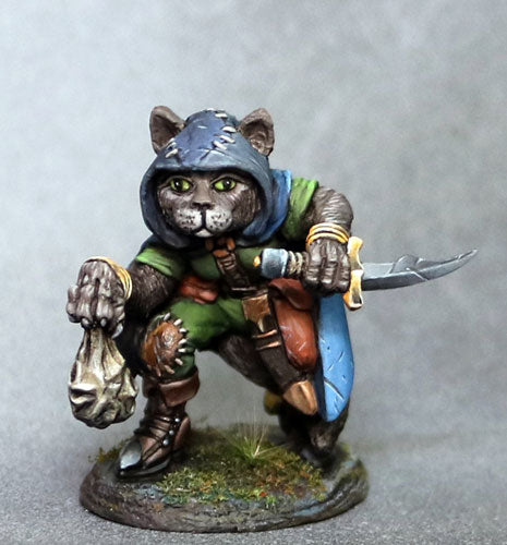 D&D Miniature Cat Rogue