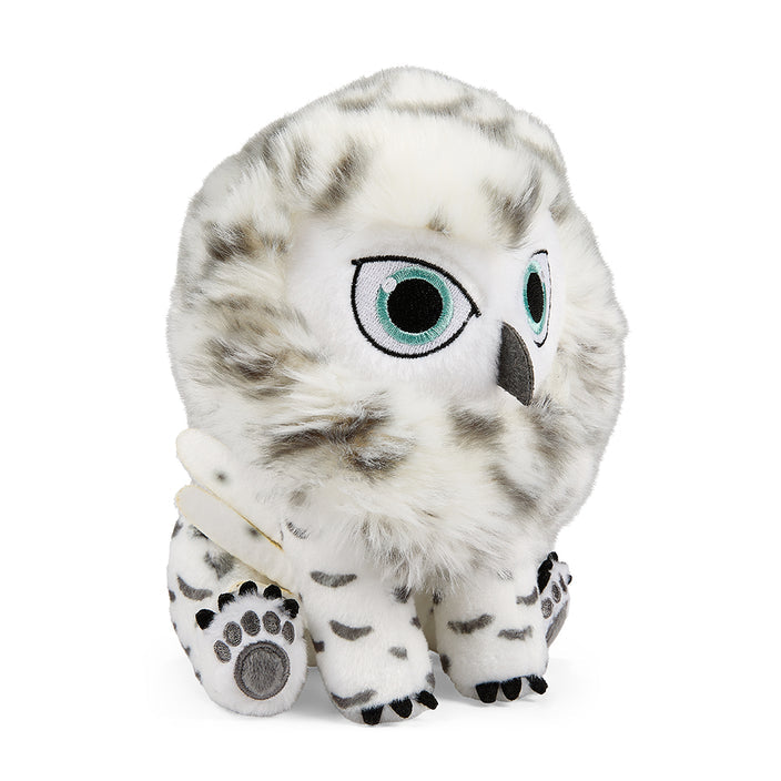 cute owlbear