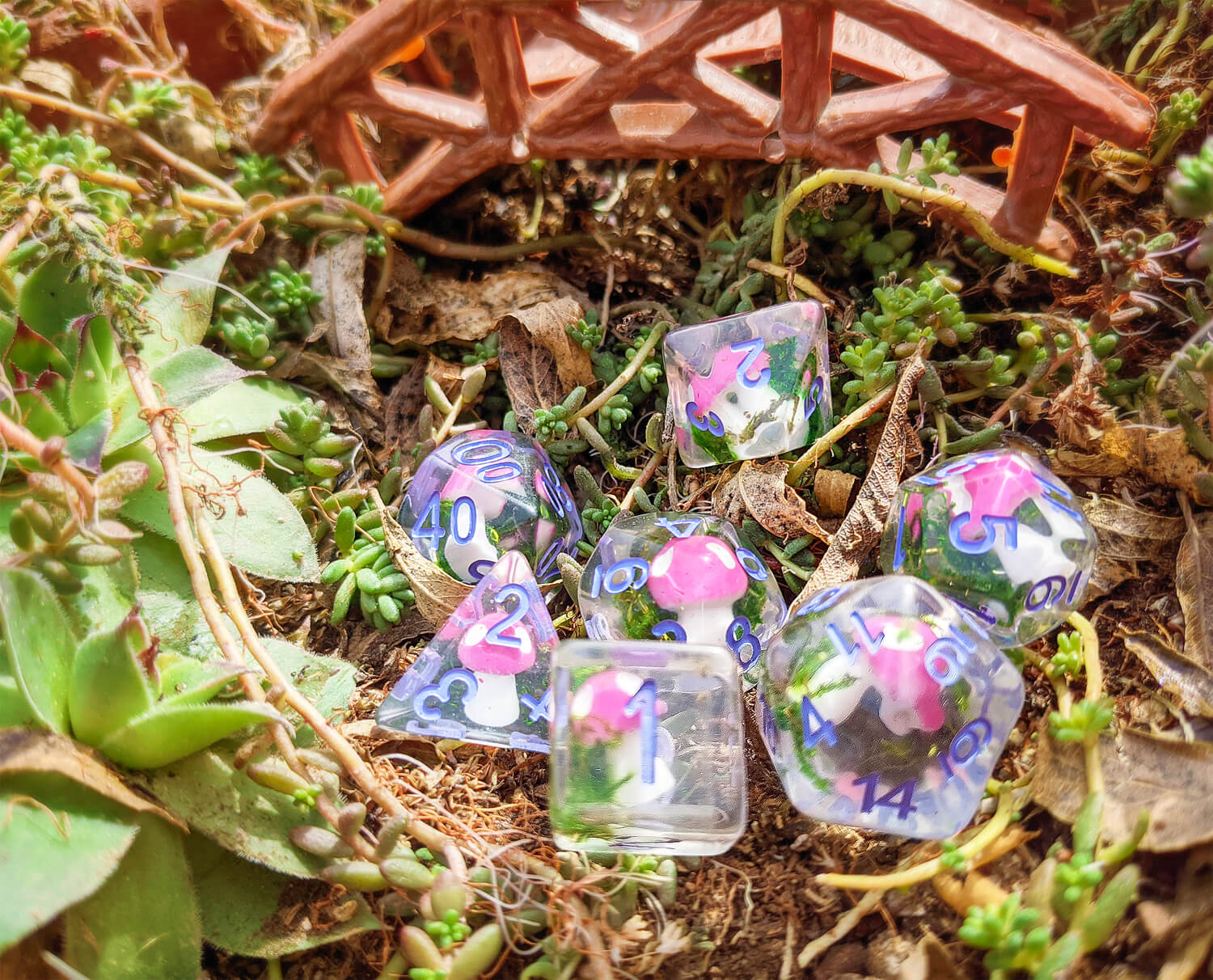 Mushroom Dice 1