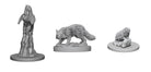 Pathfinder Miniatures Familiars