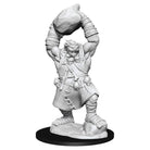 Pathfinder Miniatures Ogre