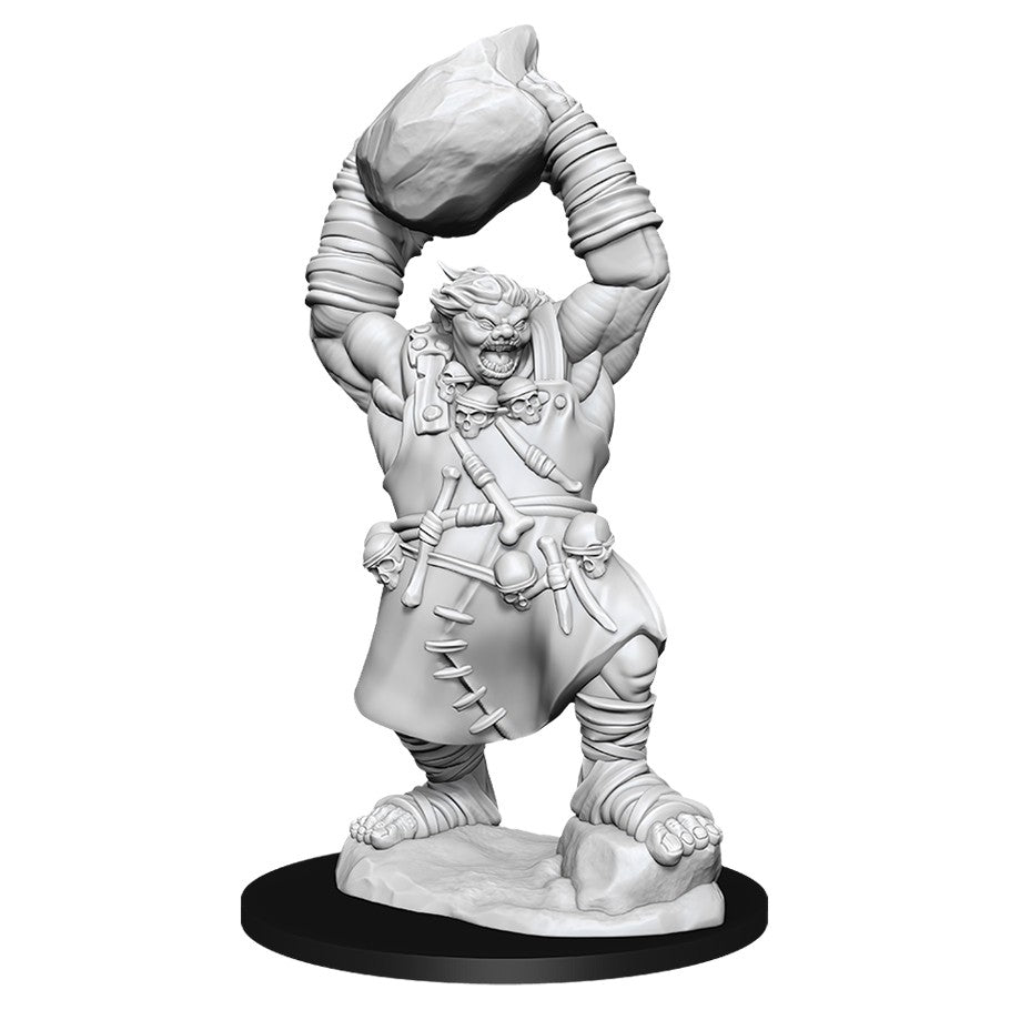 Pathfinder Miniatures Ogre