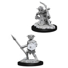 Pathfinder Miniatures Hobgoblins