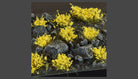 Gamers Grass Yellow Flowers